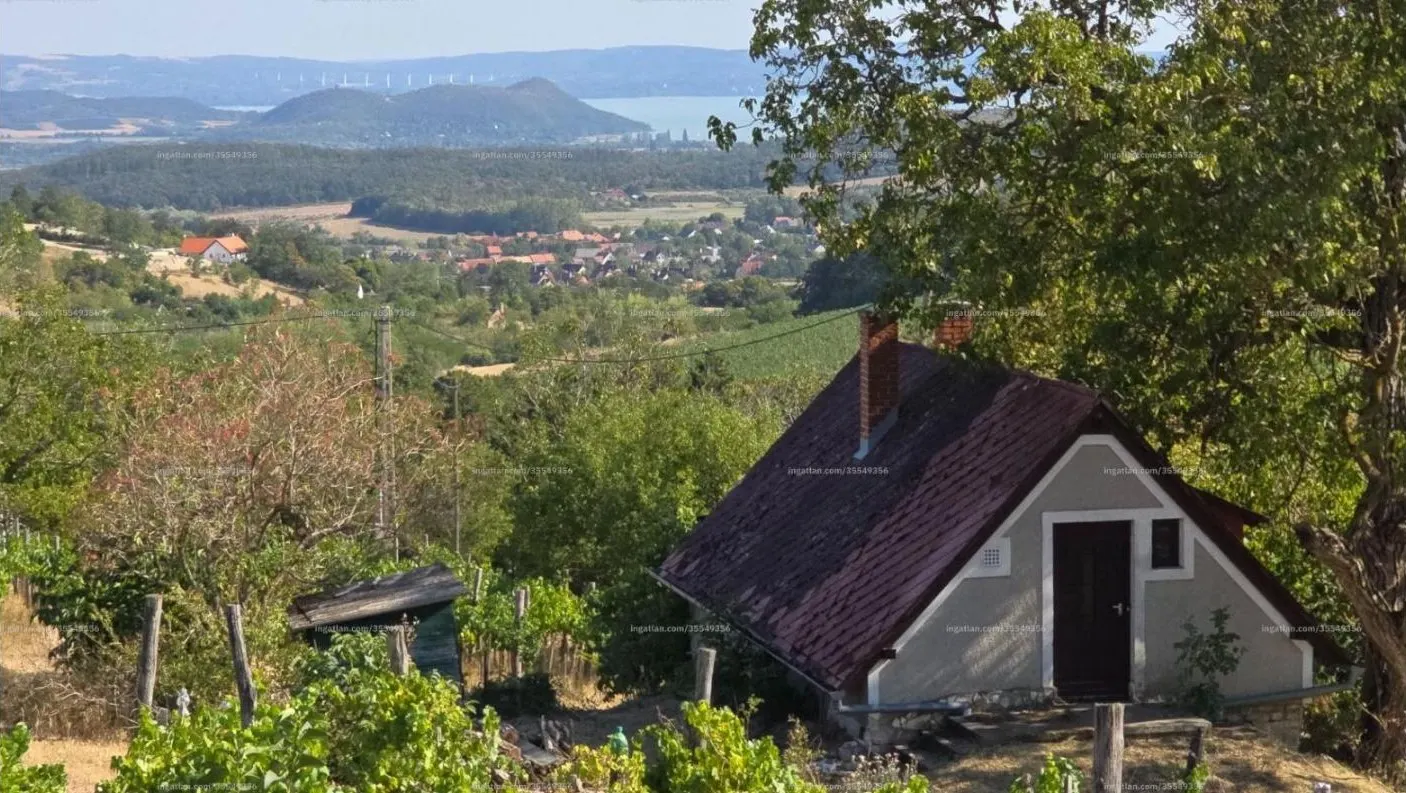 Körpanorámás présház 4000 m²-es szőlővel Balatonszőlősön – 1. kép