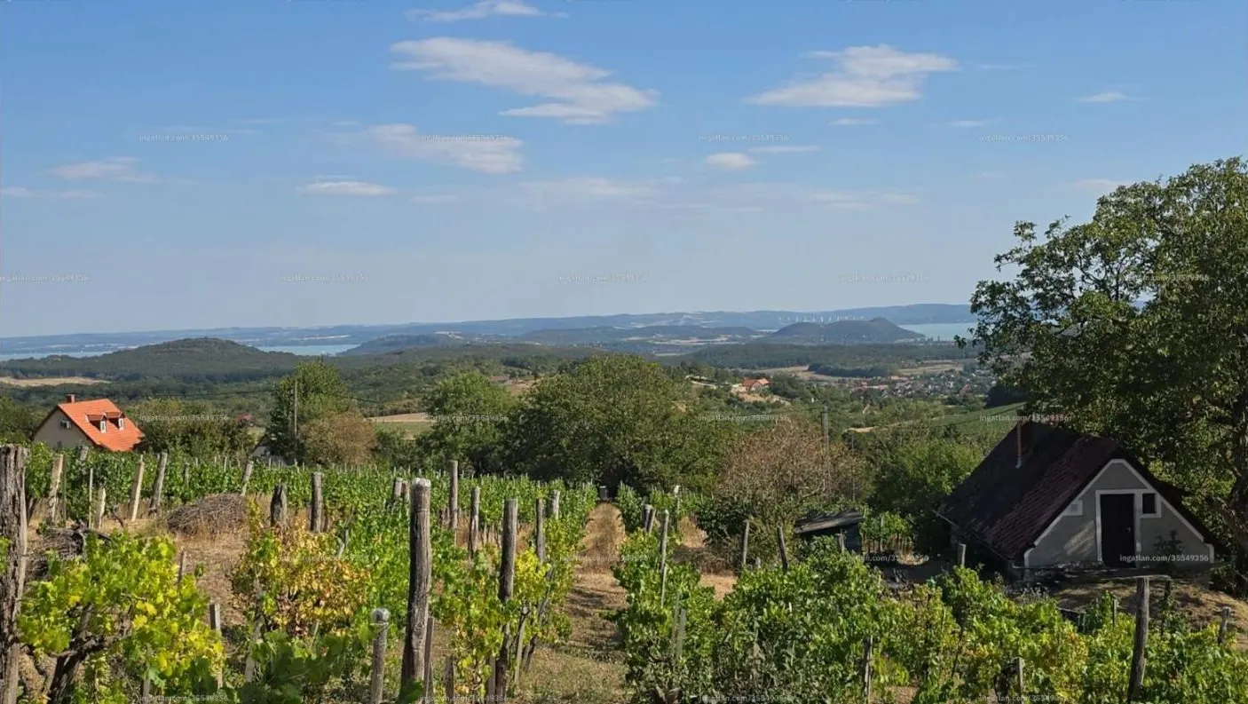 Körpanorámás présház 4000 m²-es szőlővel Balatonszőlősön – 2. kép