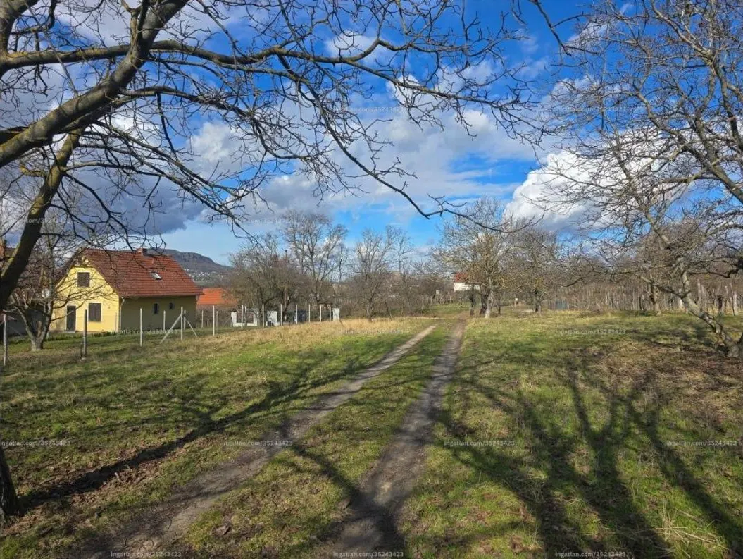 Hegyoldali panorámás telek Badacsonytördemicen – 2. kép